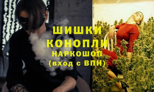 гидра Абаза