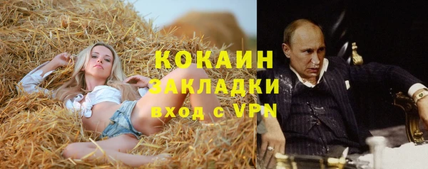 гидра Абаза