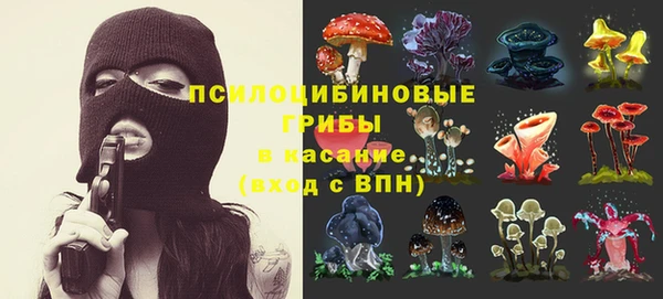 гидра Абаза