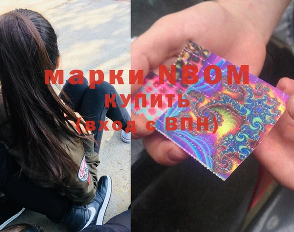 гидра Абаза